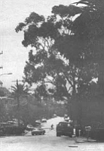 “From here I can see my two grandmother’s houses, my uncles’, and my cousins’ houses."