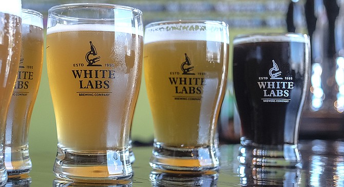 A hefeweizen, brut IPA, and breakfast stout at the White Labs tasting room