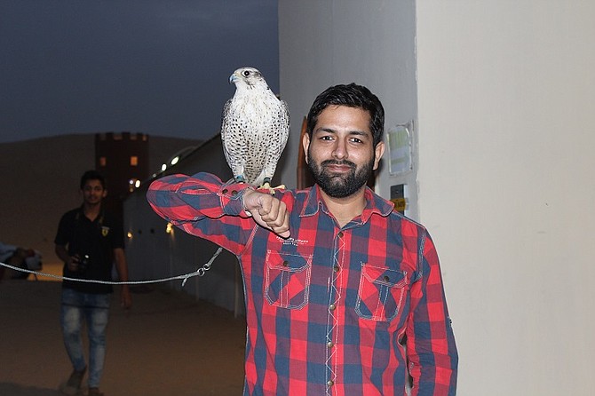 Me holding a Falcon at Desert Camp, and paid AED 10 for 1 pic. A smart business idea for the camp owner in Dubai.