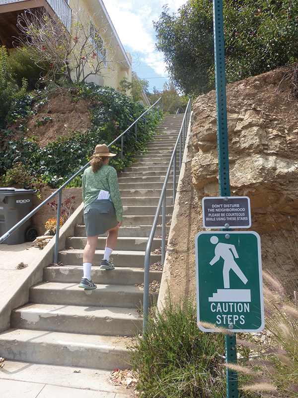 Secret stairs in LA a good fit for urban explorers – Daily News