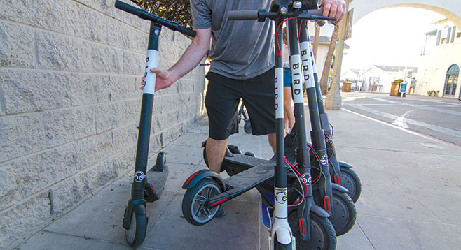 You won't get rich charging Bird scooters either | San Diego Reader