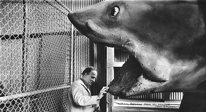 Ingmar Bergman ponders a possible sequel: Jaws of a Summer Night