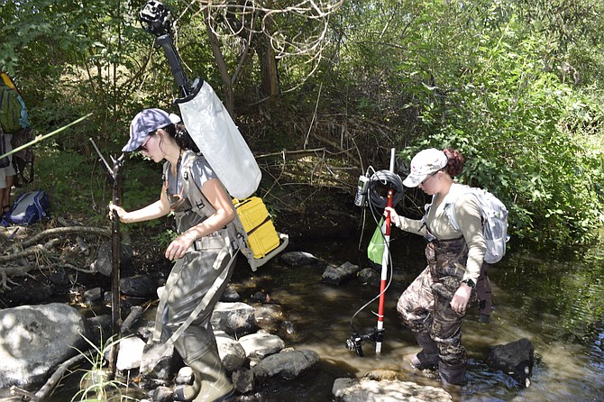 SDRPF interns survey the San Diego River.