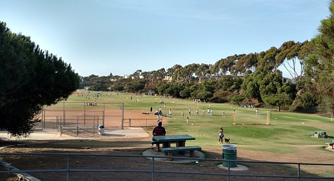 Bill Cleator Park, named for a city council member active when portions of Collier Park were developed in the early 1980s, sits opposite the development site