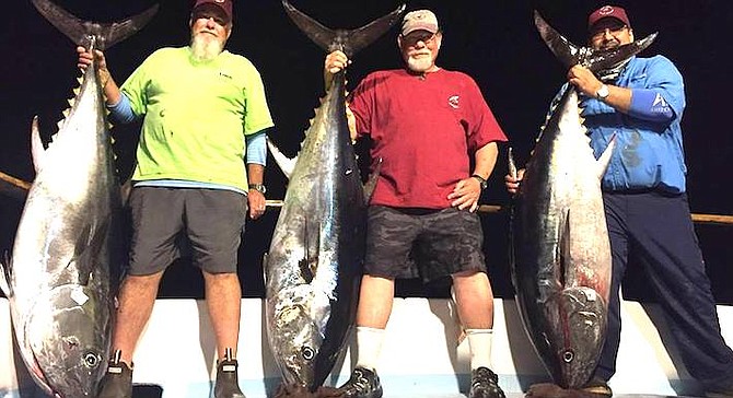 Bluefin tuna caught at night on the Thunderbird