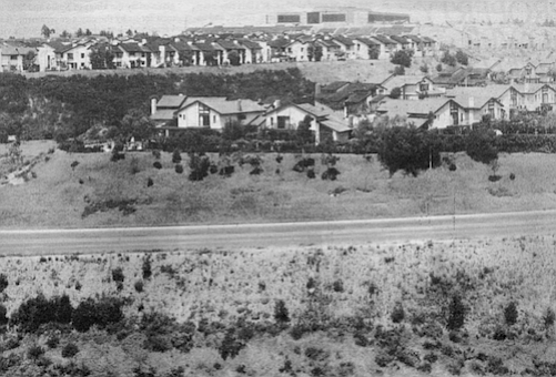 Lot 1303. The mayor’s was one of six council votes that granted Summers’ request to change his 123 acres on Pueblo Lot 1303 from single-family to multiple-family zoning.