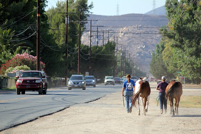 Horses and cars trying to coexist on Moreno Ave. before three more projects start construction in the area.