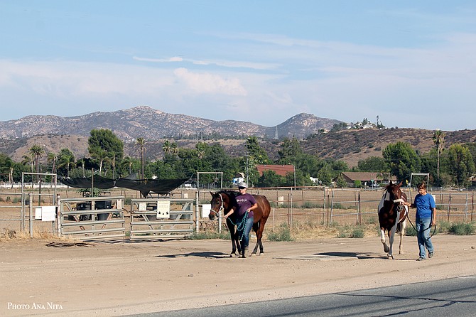 The location of a state of the art Equestrian Park approved for construction on Moreno Ave.