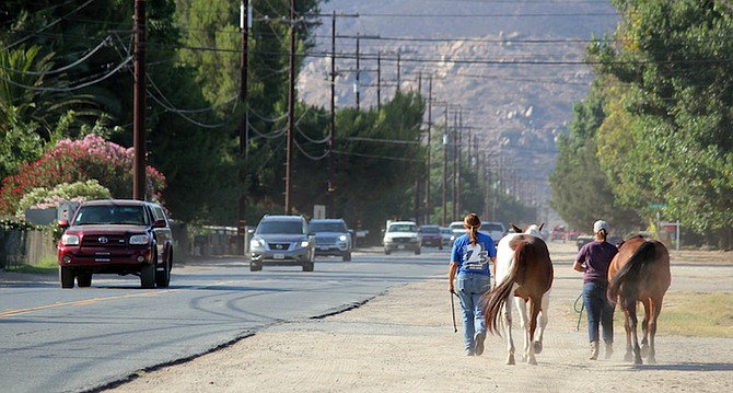Horses and cars on Moreno Ave.
