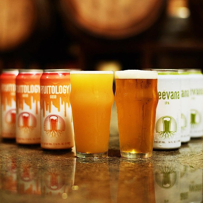 Sore Eye Cup winner Treevana IPA soon to be available year-round in cans.
