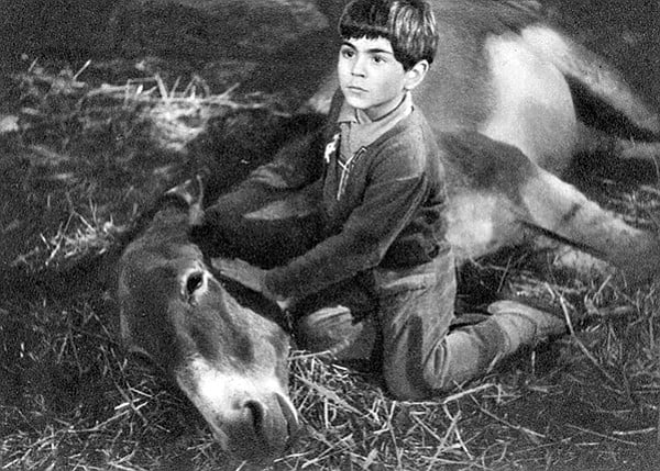 Peppino (Vittorio Manunta) with his beloved donkey, Violetta, in Never Take No For An Answer, the film that helped to decide Ben Kingsley’s future.