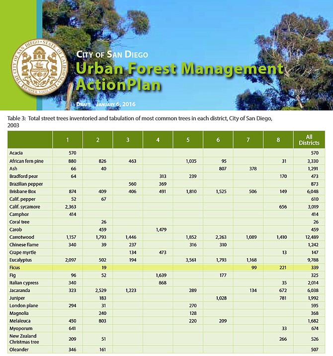 The Bay Park tree is now in District 2, but back in 2003 it was in District 6. The city's 2003 inventory is sans any Ficus trees in District 6.