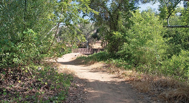 Approaching the bridge crossing Sycamore Creek