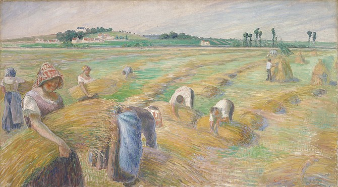 Camille Pissarro: The Harvest