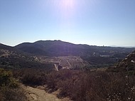 photo thumbnail