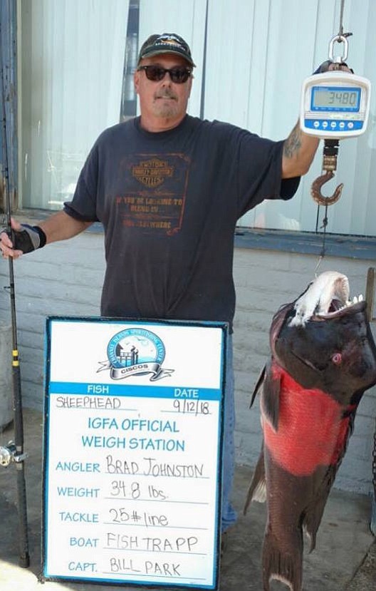 Brad Johnston with the potential all-tackle world record sheephead