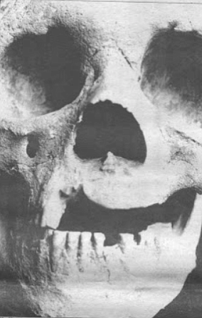 Bada determined the Del Mar skull to be 48,000 years old. The oldest previously discovered bones in North America were radiocarbon dated at 23,600 years.
