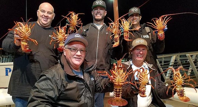 14 spiny lobsters for five hoop-netters aboard the Josie Lynn's October 13 trip