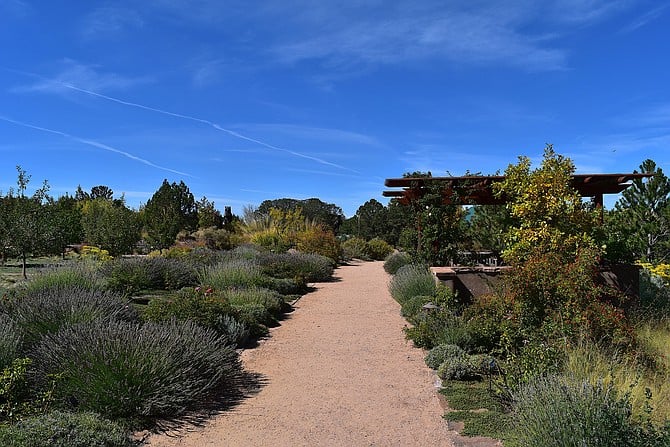 Santa Fe (New Mexico) Botanical Garden, late September 2018.