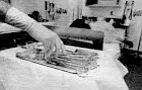 You walk in to watch his capable brown fingers darting across the lacerations of a wounded seaman.