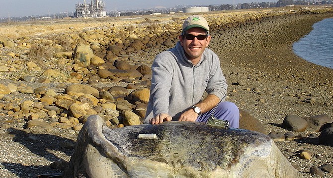 NOAA's Jeff Seminoff with the largest ever weighed green sea turtle, San Diego’s own Wrinklebutt.