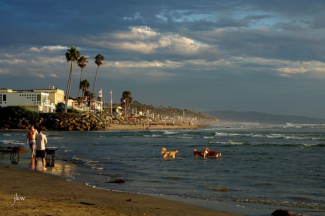 Del Mar's Dog Beach (Jill Wright of Solana Images)