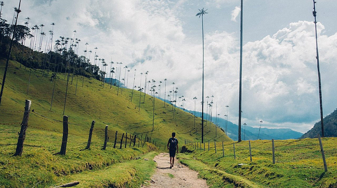 Hiking through Colombia's stunning Valle de Cocora, a half hour northeast of Salento.