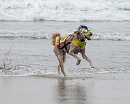 photo thumbnail