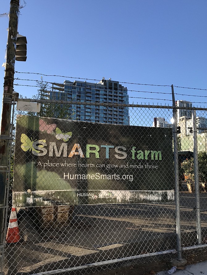 Image by Irvin Gavidor
SMARTS Farm must make way for affordable housing on Broadway in East Village
