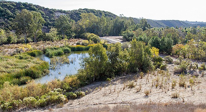 Though state officials have dubbed this pond on private property in Carmel Valley “high quality wetlands,” the Coastal Commission ordered it drained, but insisted the property owner create more wetlands.