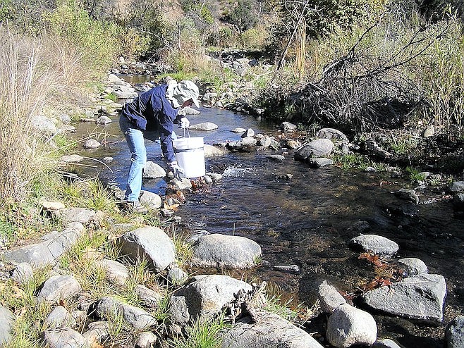 "They continued their struggle to return the creek to its natural state."
