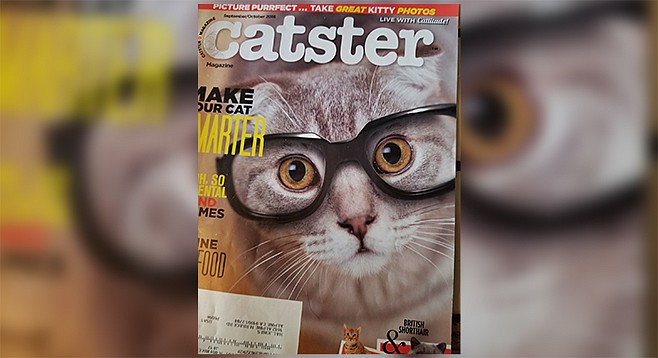 Catster cover model