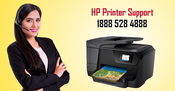 HP Printer Support