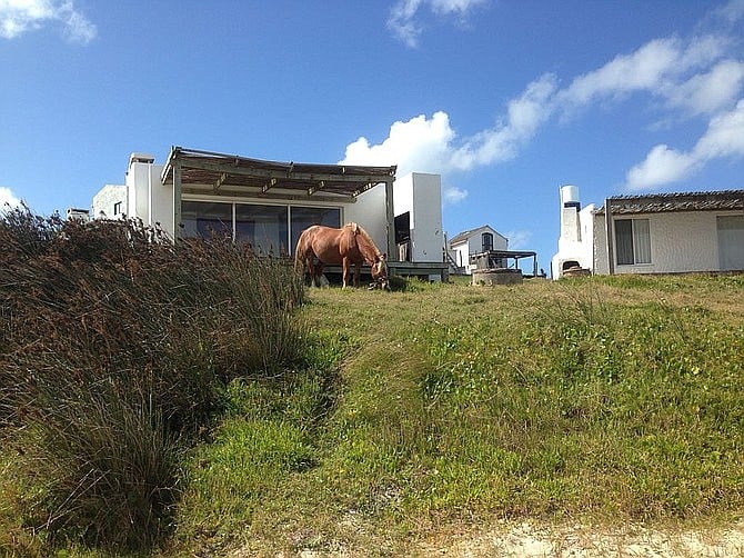 There are really no streets in Cabo Polonio, just sandy paths and passageways. Horses graze freely.