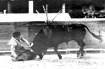 Matador falls and barely escapes, July 26, 1987