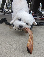 photo thumbnail
