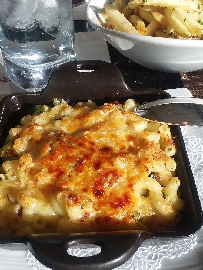 A grown-up version of mac & cheese