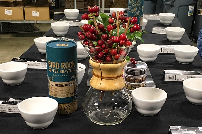 A cupping of California grown beans at Bird Rock Coffee Roasters