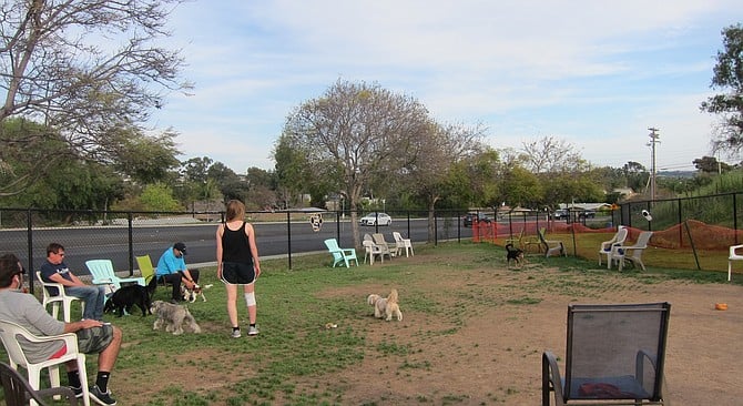 "Capehart was somewhat of a compromise for those wanting off-leash access at Kate Sessions."