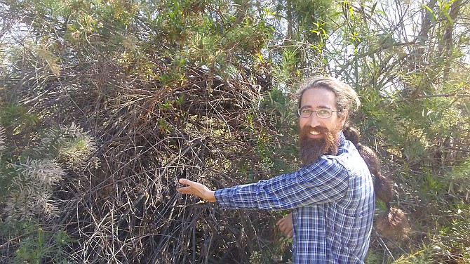 Moshe Krafchow with unpruned vegetation