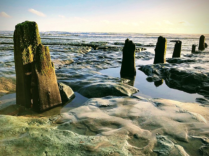 Del Mar Beach pilings from old natatorium.