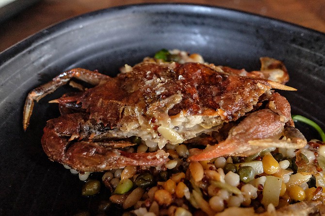 Sauteed soft shell crab over pearled couscous with lemon butter, capers, lentils, and pine nuts.