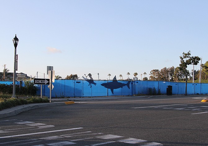 Shark Installation by Bryan Snyder.