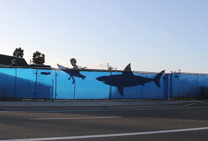Shark installation by Bryan Snyder.