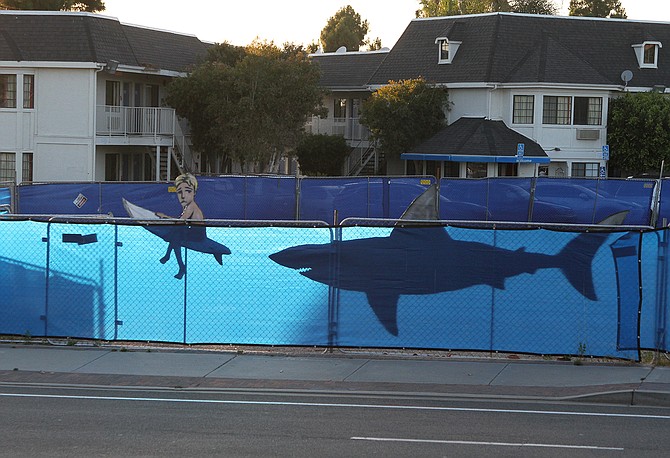 Shark installation by Bryan Snyder.