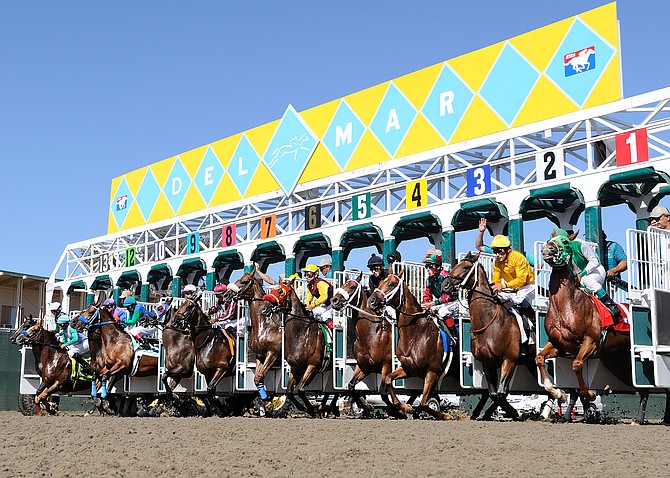 What Santa Anita Horse Deaths Mean For Del Mar San Diego Reader