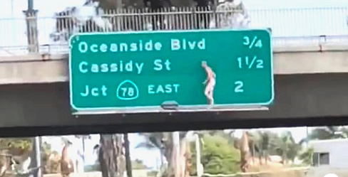 Naked man dancing on freeway sign (from Take Back website)