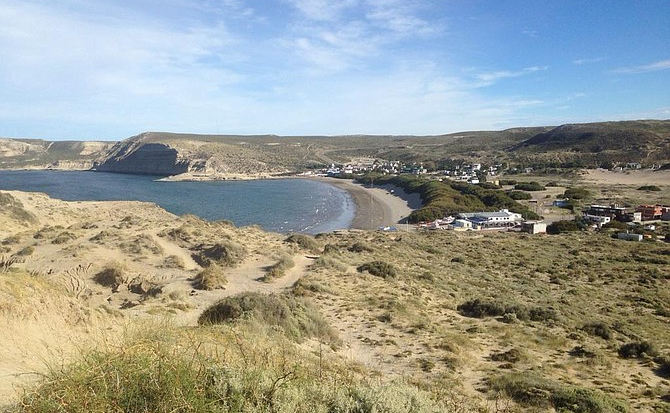 Wild Peninsula Valdez, Argentina | San Diego Reader