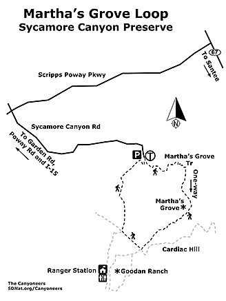 Martha's Grove Loop Map