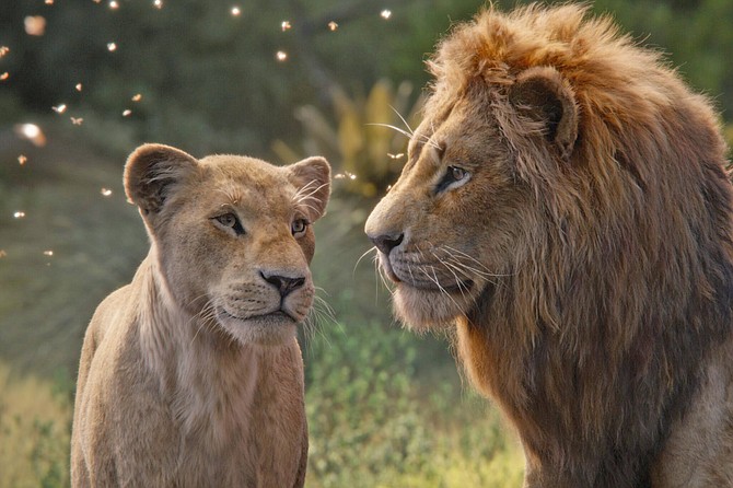 The Lion King: “I’m sorry, darling, I just can’t feel the love tonight.”